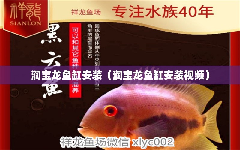 润宝龙鱼缸安装（润宝龙鱼缸安装视频） 祥龙水族医院