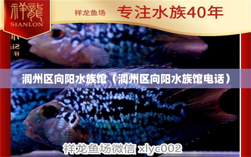 润州区向阳水族馆（润州区向阳水族馆电话）