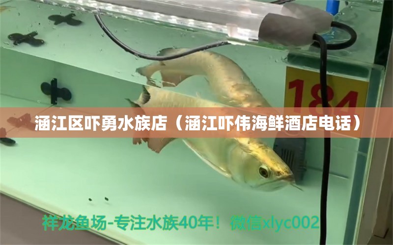 涵江区吓勇水族店（涵江吓伟海鲜酒店电话） 全国水族馆企业名录