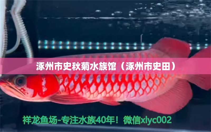 涿州市史秋菊水族馆（涿州市史田）