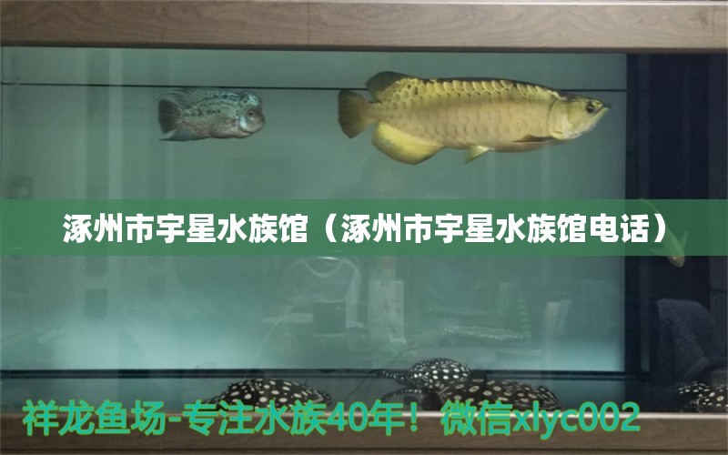 涿州市宇星水族馆（涿州市宇星水族馆电话）