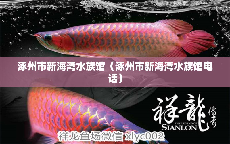 涿州市新海湾水族馆（涿州市新海湾水族馆电话）