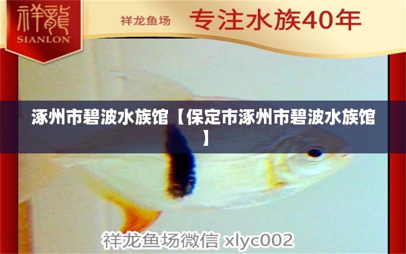 涿州市碧波水族馆【保定市涿州市碧波水族馆】