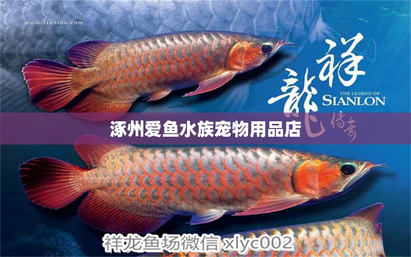 涿州爱鱼水族宠物用品店 全国水族馆企业名录