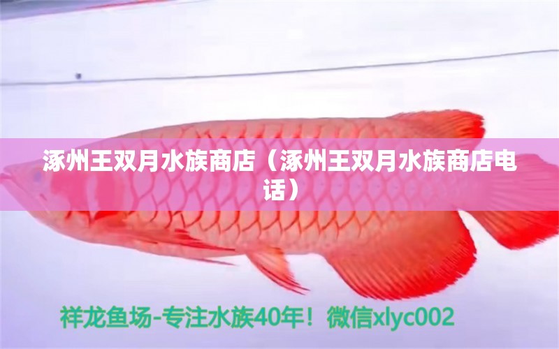 涿州王双月水族商店（涿州王双月水族商店电话）