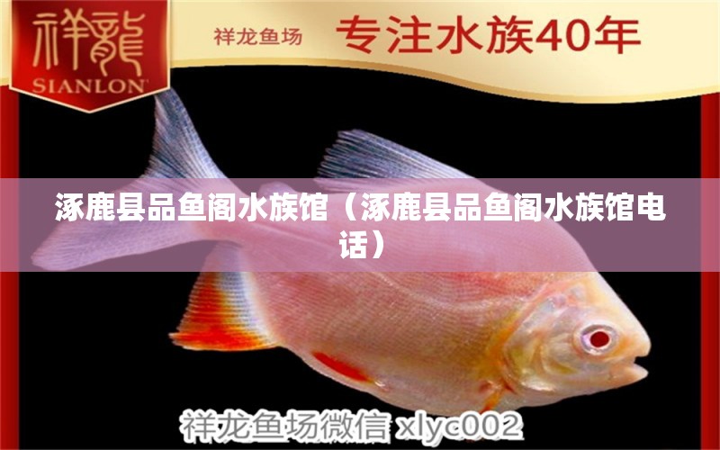 涿鹿县品鱼阁水族馆（涿鹿县品鱼阁水族馆电话）