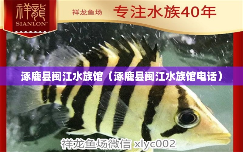 涿鹿县闽江水族馆（涿鹿县闽江水族馆电话） 全国水族馆企业名录