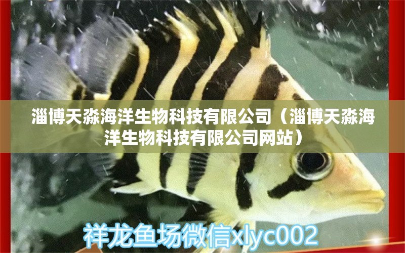 淄博天淼海洋生物科技有限公司（淄博天淼海洋生物科技有限公司网站）