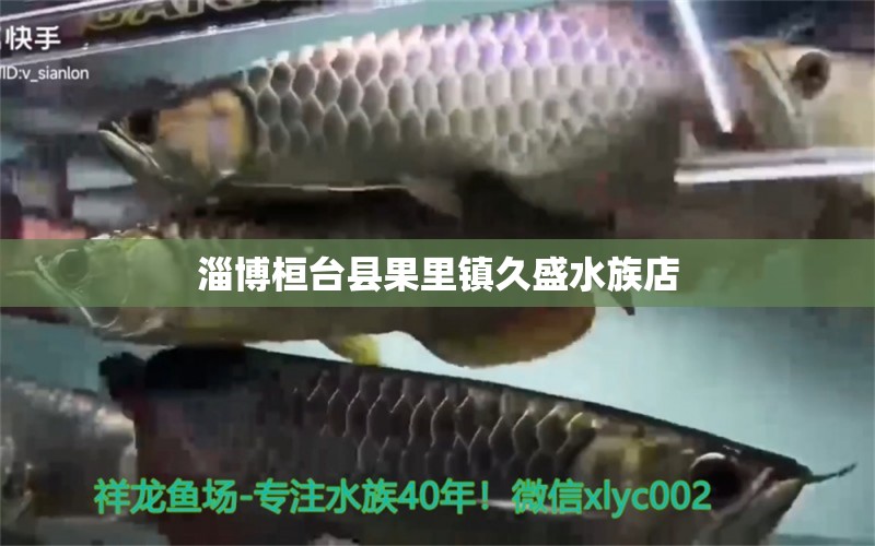 淄博桓台县果里镇久盛水族店 全国水族馆企业名录