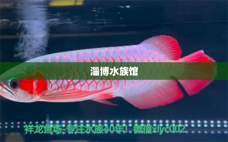 淄博水族馆