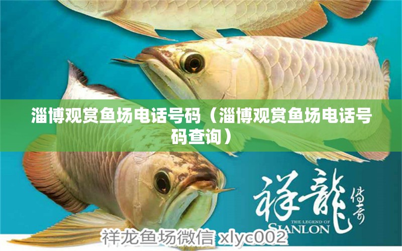 淄博观赏鱼场电话号码（淄博观赏鱼场电话号码查询） 祥龙水族医院