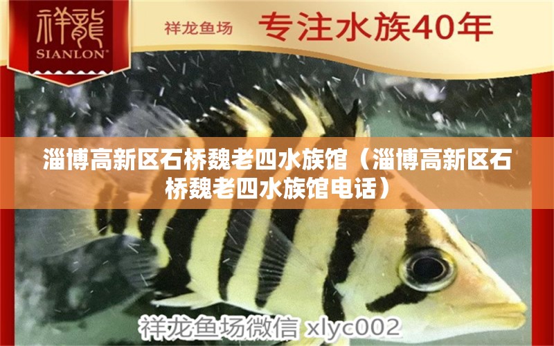 淄博高新区石桥魏老四水族馆（淄博高新区石桥魏老四水族馆电话）