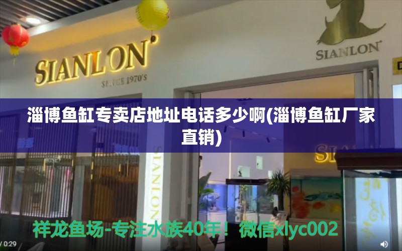 淄博鱼缸专卖店地址电话多少啊(淄博鱼缸厂家直销)