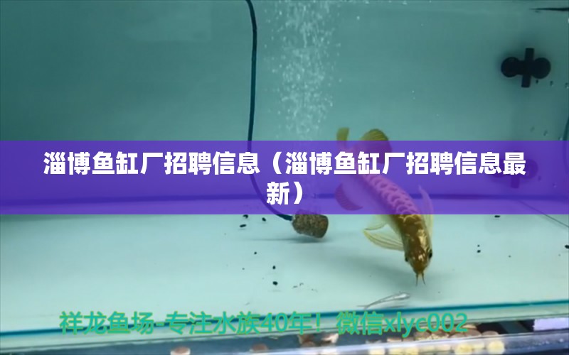 淄博鱼缸厂招聘信息（淄博鱼缸厂招聘信息最新）