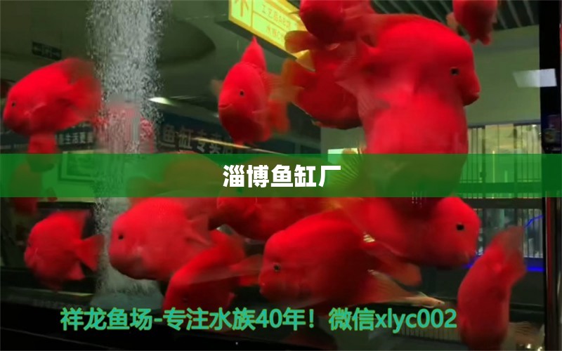 淄博鱼缸厂 其他品牌鱼缸