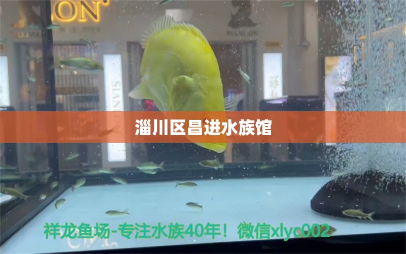 淄川区昌进水族馆