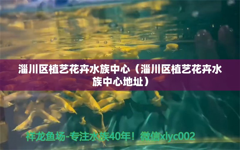 淄川区植艺花卉水族中心（淄川区植艺花卉水族中心地址） 全国水族馆企业名录