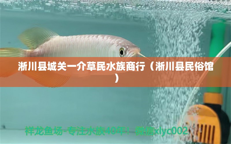 淅川县城关一介草民水族商行（淅川县民俗馆） 全国水族馆企业名录