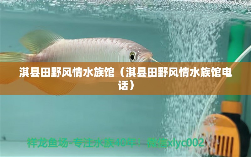 淇县田野风情水族馆（淇县田野风情水族馆电话） 全国水族馆企业名录