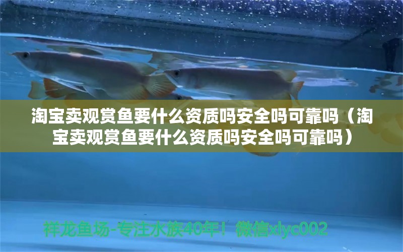 淘宝卖观赏鱼要什么资质吗安全吗可靠吗（淘宝卖观赏鱼要什么资质吗安全吗可靠吗）