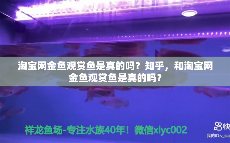 淘宝网金鱼观赏鱼是真的吗？知乎，和淘宝网金鱼观赏鱼是真的吗？ 祥龙金禾金龙鱼