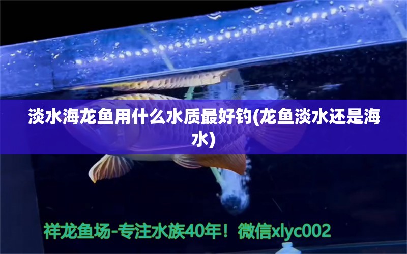 淡水海龙鱼用什么水质最好钓(龙鱼淡水还是海水) 垂钓乐园