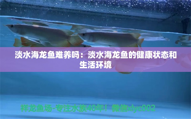 淡水海龙鱼难养吗：淡水海龙鱼的健康状态和生活环境 水族问答 第1张