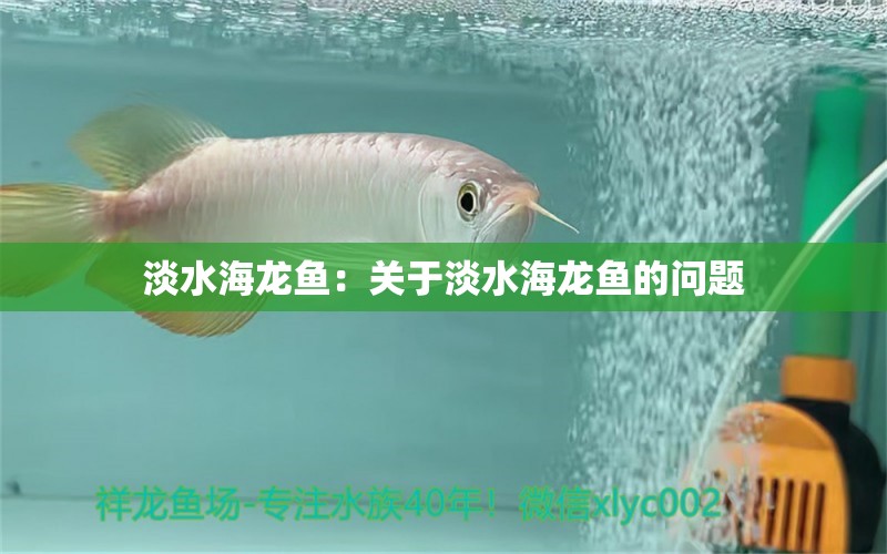 淡水海龙鱼：关于淡水海龙鱼的问题 水族问答 第2张