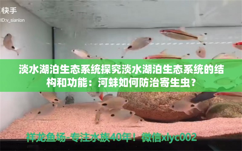 淡水湖泊生态系统探究淡水湖泊生态系统的结构和功能：河蚌如何防治寄生虫？