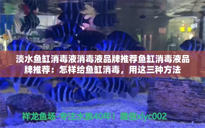 淡水鱼缸消毒液消毒液品牌推荐鱼缸消毒液品牌推荐：怎样给鱼缸消毒，用这三种方法 鱼缸百科 第2张