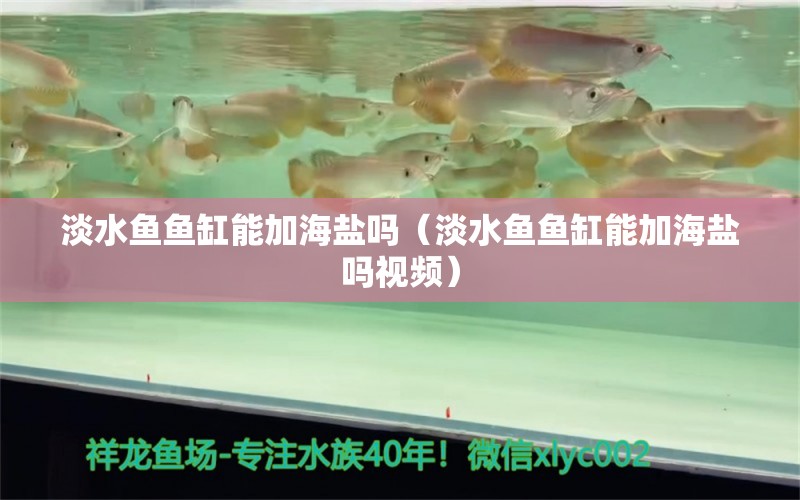 淡水鱼鱼缸能加海盐吗（淡水鱼鱼缸能加海盐吗视频） 祥龙水族医院