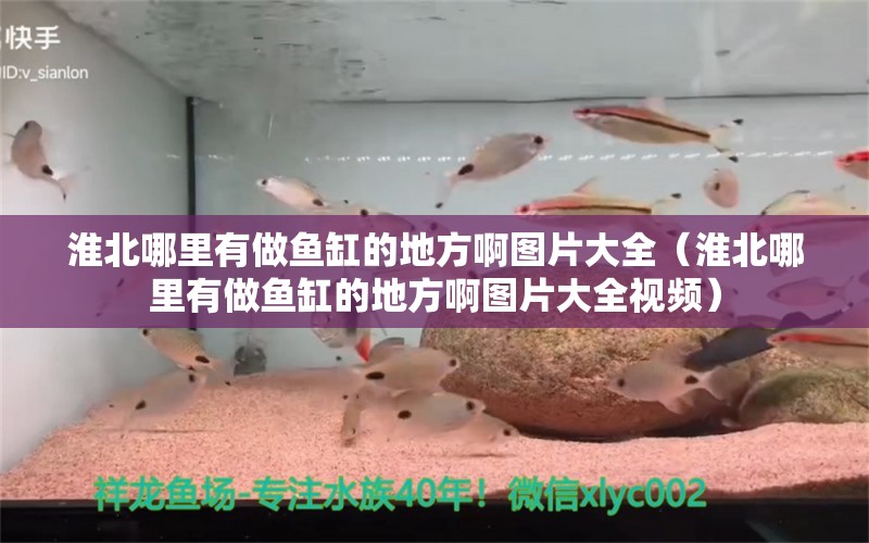 淮北哪里有做鱼缸的地方啊图片大全（淮北哪里有做鱼缸的地方啊图片大全视频）