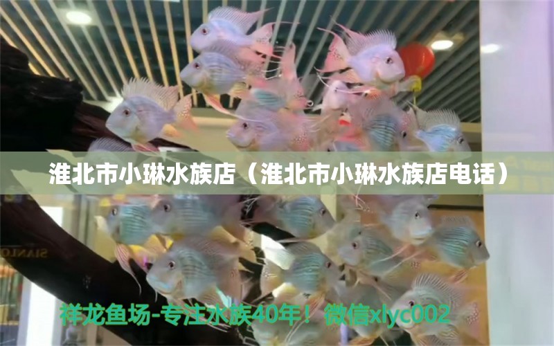 淮北市小琳水族店（淮北市小琳水族店电话）