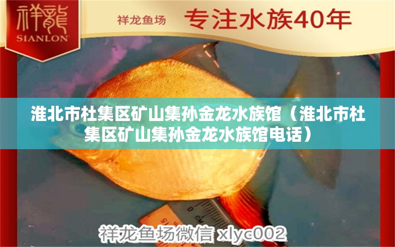 淮北市杜集区矿山集孙金龙水族馆（淮北市杜集区矿山集孙金龙水族馆电话） 全国水族馆企业名录