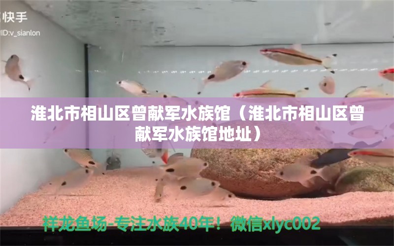 淮北市相山区曾献军水族馆（淮北市相山区曾献军水族馆地址）