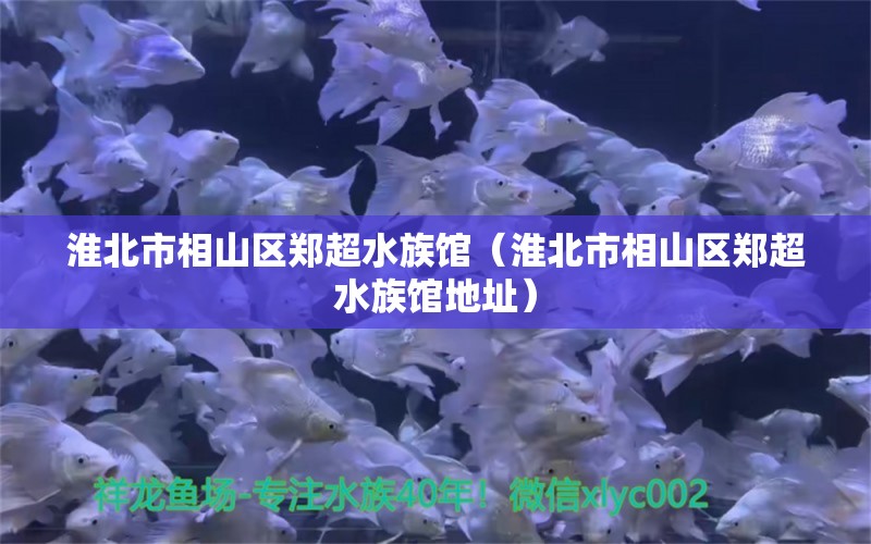 淮北市相山区郑超水族馆（淮北市相山区郑超水族馆地址）