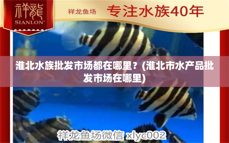 淮北水族批发市场都在哪里？(淮北市水产品批发市场在哪里)