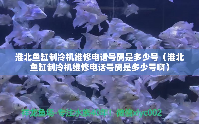 淮北鱼缸制冷机维修电话号码是多少号（淮北鱼缸制冷机维修电话号码是多少号啊）