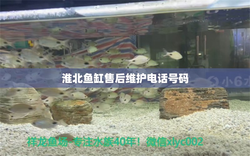 淮北鱼缸售后维护电话号码 其他品牌鱼缸