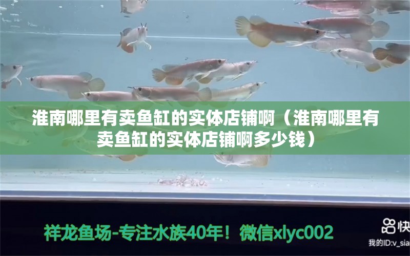 淮南哪里有卖鱼缸的实体店铺啊（淮南哪里有卖鱼缸的实体店铺啊多少钱）