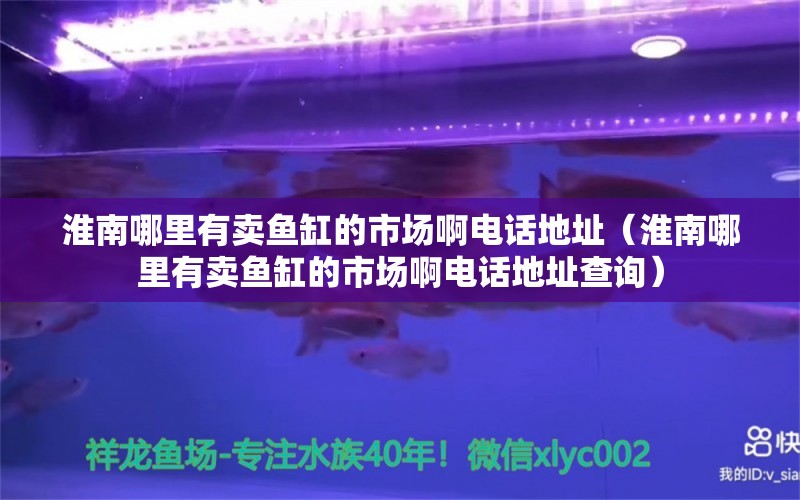 淮南哪里有卖鱼缸的市场啊电话地址（淮南哪里有卖鱼缸的市场啊电话地址查询）