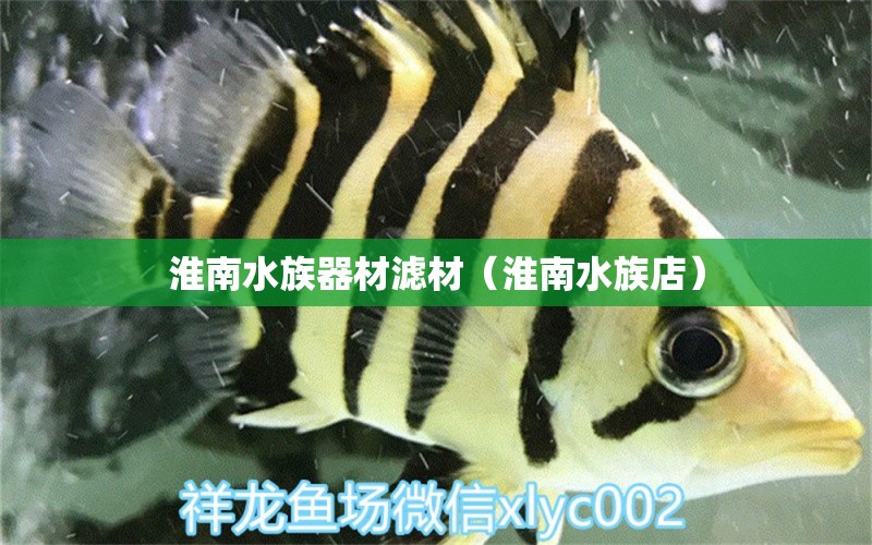 淮南水族器材滤材（淮南水族店）