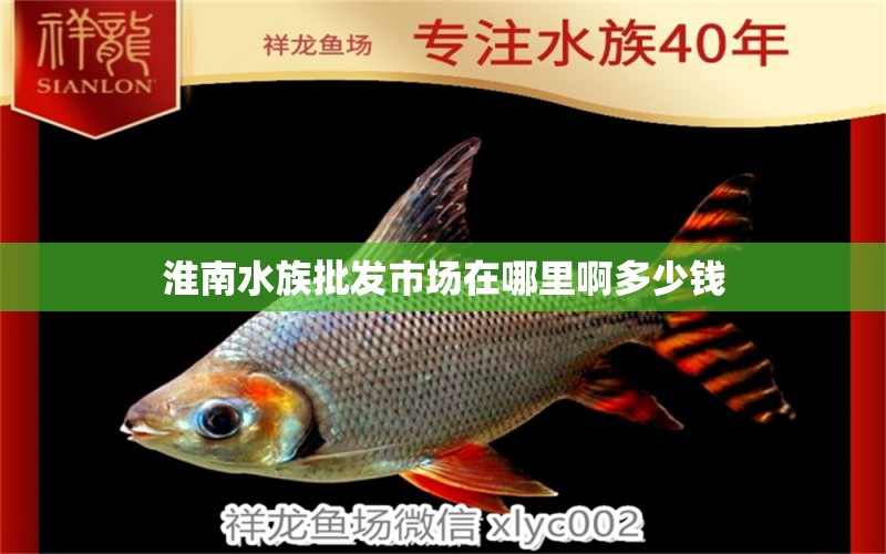 淮南水族批发市场在哪里啊多少钱 观赏鱼水族批发市场