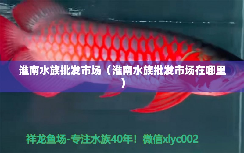 淮南水族批发市场（淮南水族批发市场在哪里）