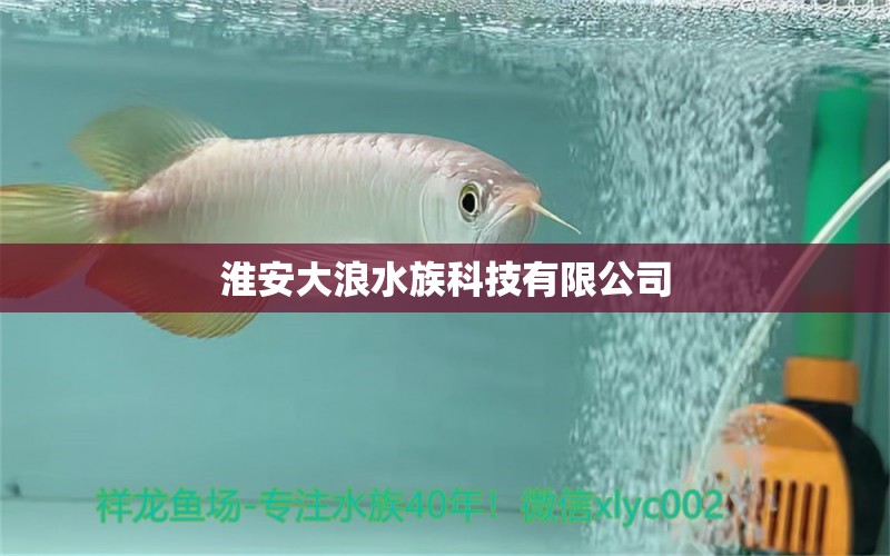 淮安大浪水族科技有限公司