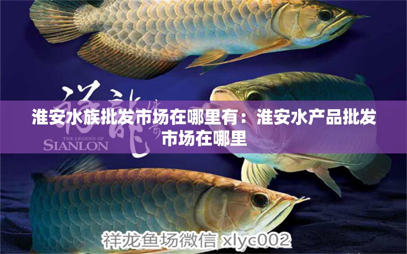 淮安水族批发市场在哪里有：淮安水产品批发市场在哪里