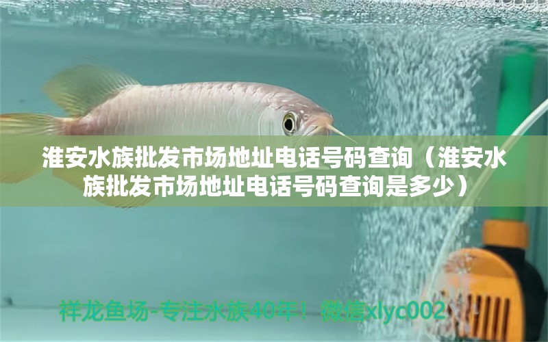 淮安水族批发市场地址电话号码查询（淮安水族批发市场地址电话号码查询是多少） 观赏鱼水族批发市场