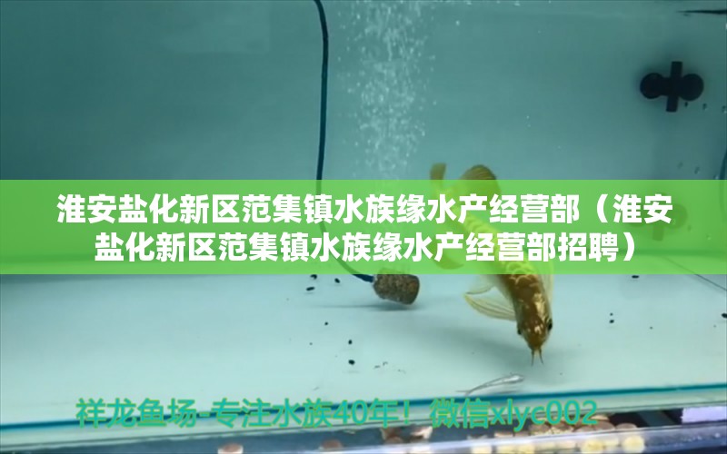 淮安盐化新区范集镇水族缘水产经营部（淮安盐化新区范集镇水族缘水产经营部招聘）