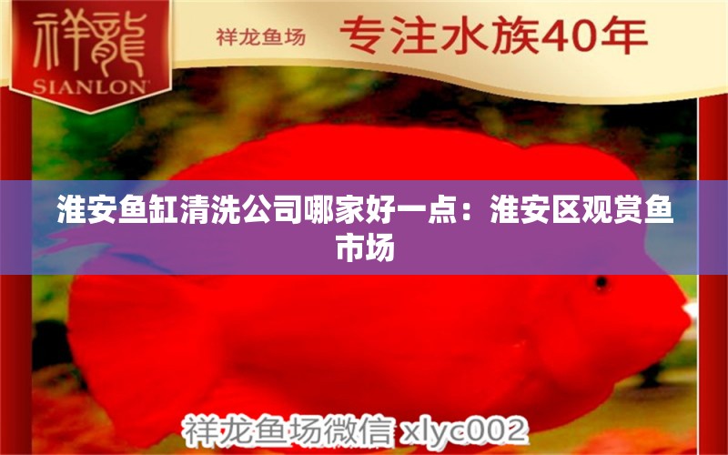 淮安鱼缸清洗公司哪家好一点：淮安区观赏鱼市场