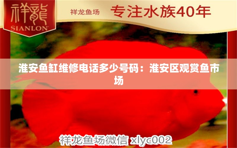 淮安鱼缸维修电话多少号码：淮安区观赏鱼市场 观赏鱼市场（混养鱼）